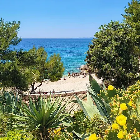 2m Apartment Dolac
